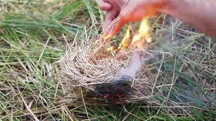 4 Awesome Tricks with Matches