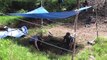 Ancient Maya Kingdom Unearthed In Cattle Rancher's Backyard