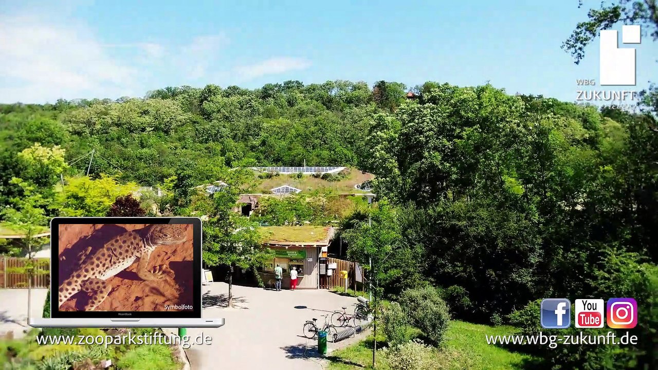 Roter berg & thüringer zoopark stiftung - wbg zukunft eg - karrideo image- und eventfilm©®™