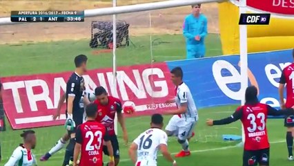 Leandro Benegas 2020