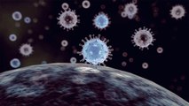 إعلان منظمة الصحة العالمية فيروس كورونا وباء عالميا حدث الأسبوع