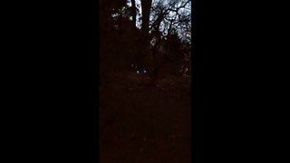 The Slo-Mo Version of a Possible Shadow Figure at My Haunted Barn Lunar Paranormal Virginia