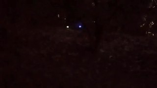 Is This a Shadow Person? My Haunted Cemetery Lunar Paranormal Virginia
