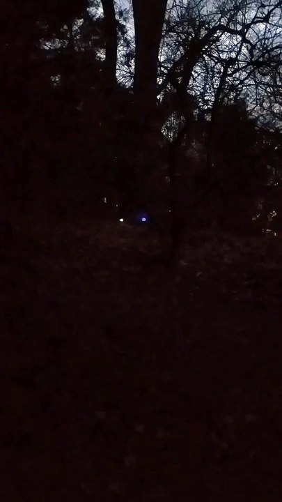 Is This a Shadow Person? My Haunted Cemetery Lunar Paranormal Virginia