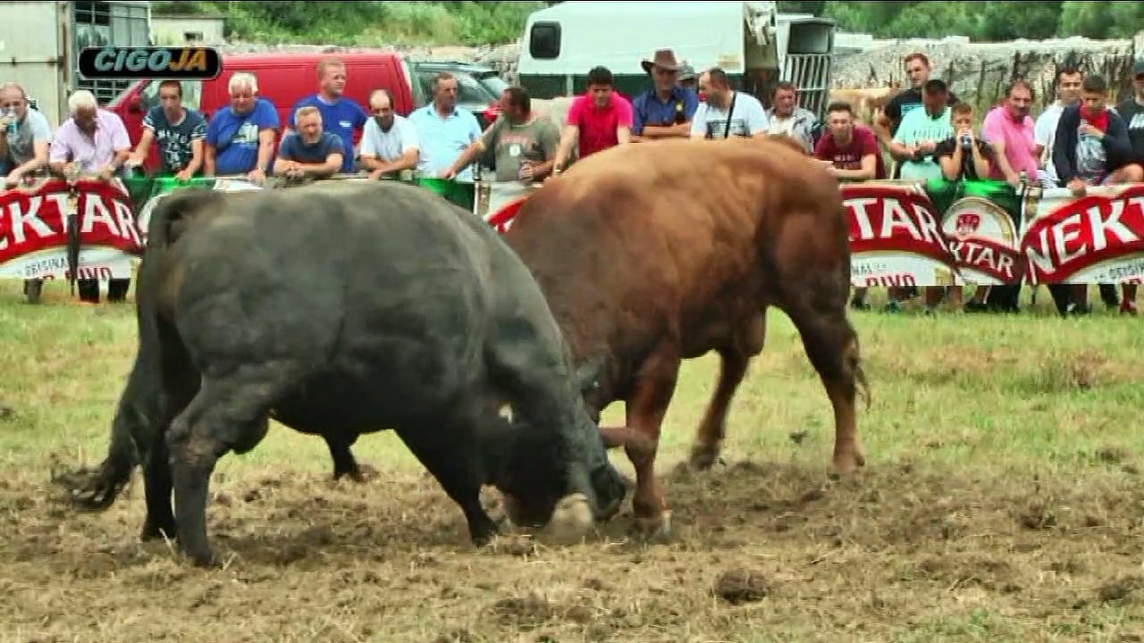 NEIMAR POBIJEDIO ZUJU BJELAJCE 2020