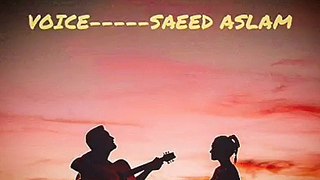 Dil_drya_ay_By_Saeed_Aslam__Panjabi_Poetry_For_Whatsapp_Status__Best_Music_with_best_poetry_(360p)