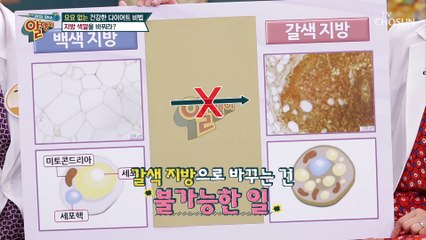 ☆다이어트 비법☆ 지방 색깔을 갈색으로 바꿔라??!