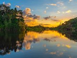 Studie: Amazonas könnte innerhalb von 50 Jahren kollabieren