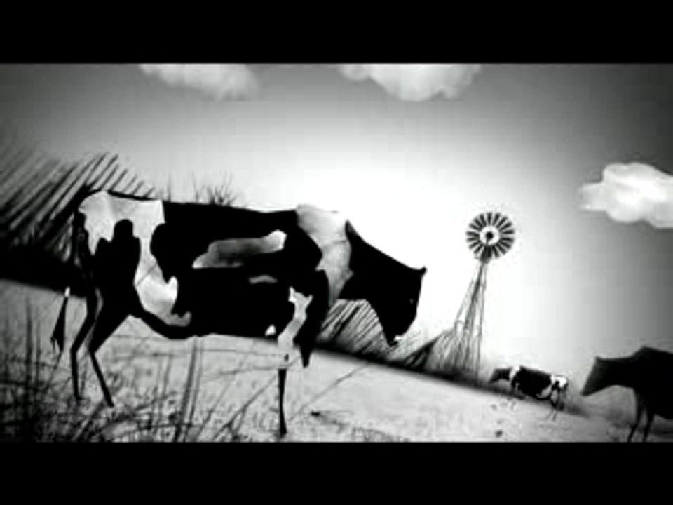 Raveonettes Black/White Sound of Color music video