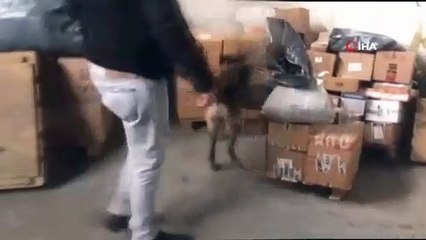 Üzerinde ‘ıslak havlu’ yazılı paketlerden zehir çıktı