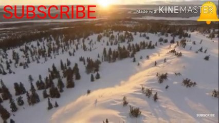 Facts with proof. Truth of kerona.