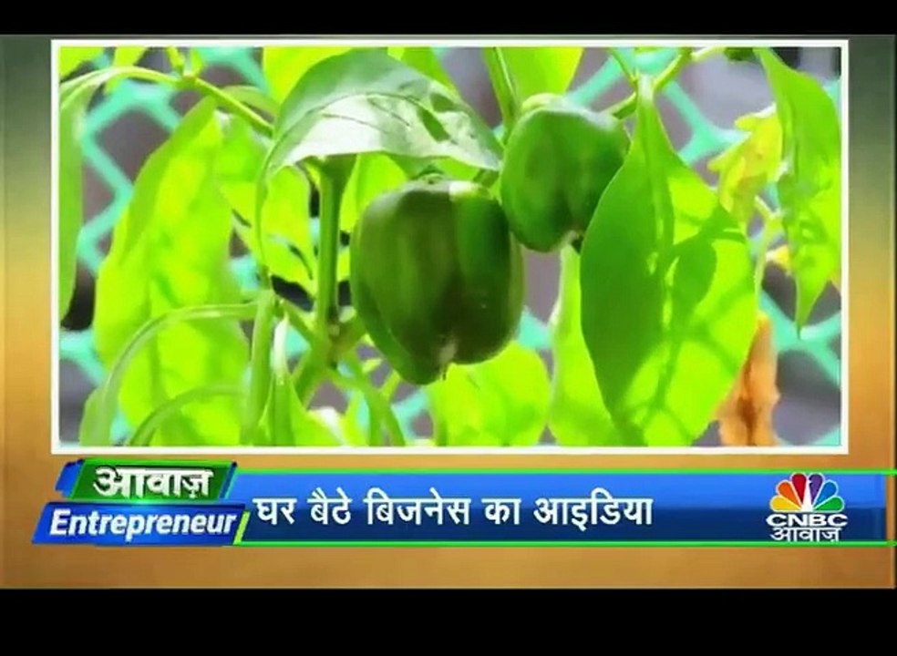 बिना मिट्टी की खेती से करें मोटी कमाई