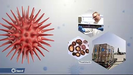 هل الأطفال محصنون ضد فايروس كورونا !