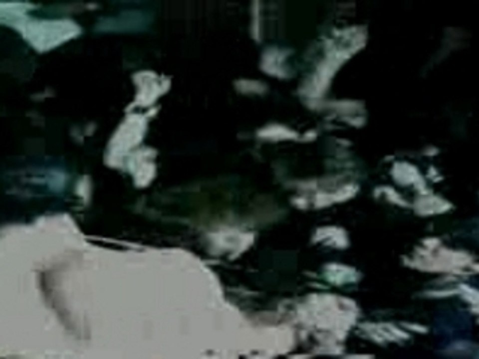 Bauhaus - Ziggy Stardust