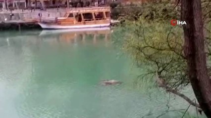 Bankadan çektiği 50 bin TL ile kayboldu, ırmakta cesedi bulundu