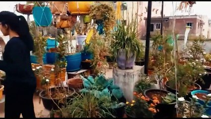 Friends visiting garden