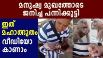 Pig born with human face | Oneindia Malayalam