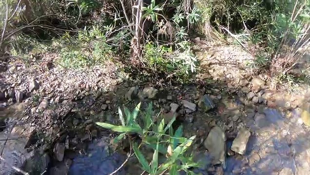 CHASSE EN ALGERIE AVEC AMAR