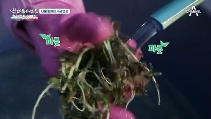 봄철 밥도둑 '달래무침', 나물 할매의 포근한 시골밥상!