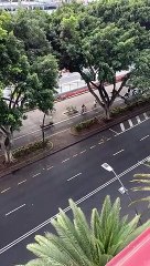 La Policía Local de Santa Cruz ya ha sancionado a los primeros infractores