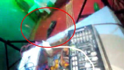 Dancing Cat Spotted     ||  Funny Video   ||   Cat   ||   Cat Video