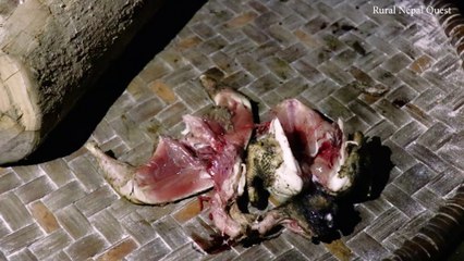 Cooking Nepali village local chicken curry