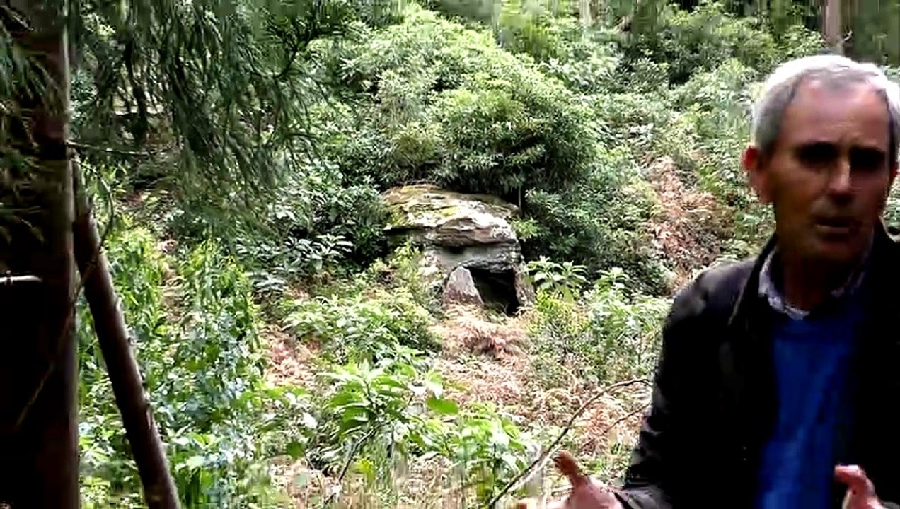 Bande Annonce - Le Passé Perdu des Îles Enchantées