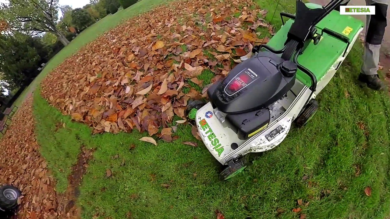 ETESIA tondeuse PRO46, la référence des professionnels