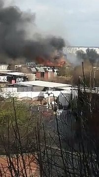 Sunderland allotment damaged by fire