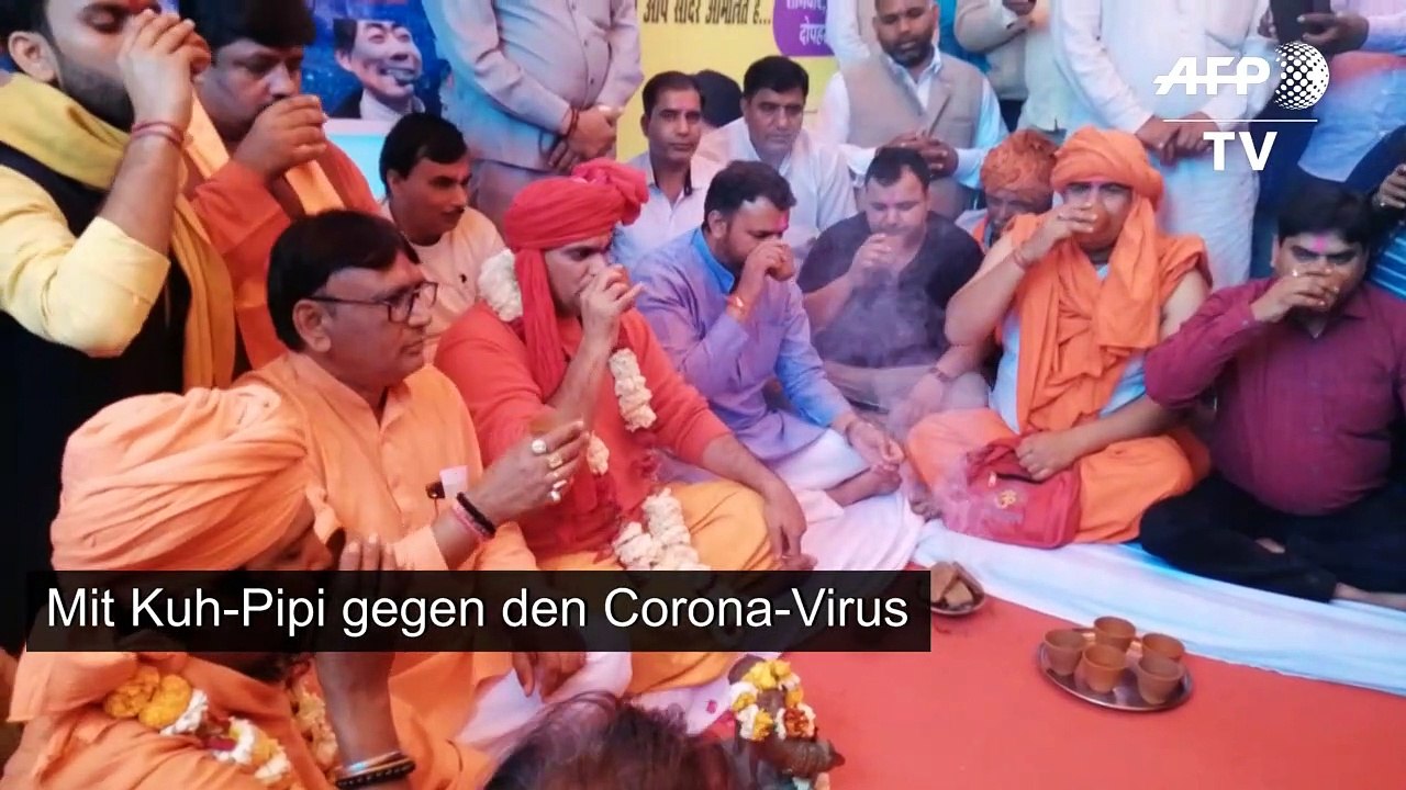Mit Kuh-Pipi gegen den Corona-Virus