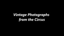 Vintage Photographs From the Circus