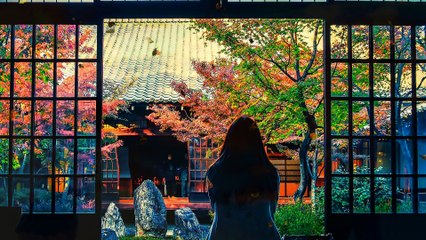 koibito yo ( oh my dear love ) - Sunnight