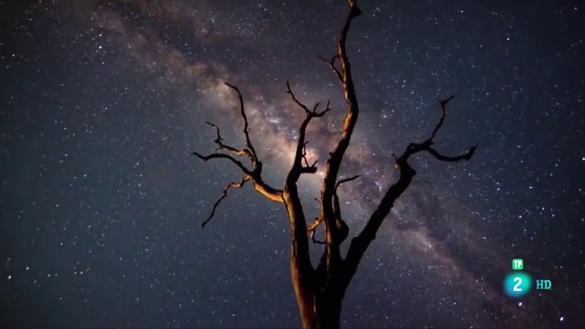 Universo vivo 3/4: Segundo genesis - Documental