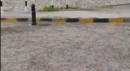 Bunlar neyin habercisi