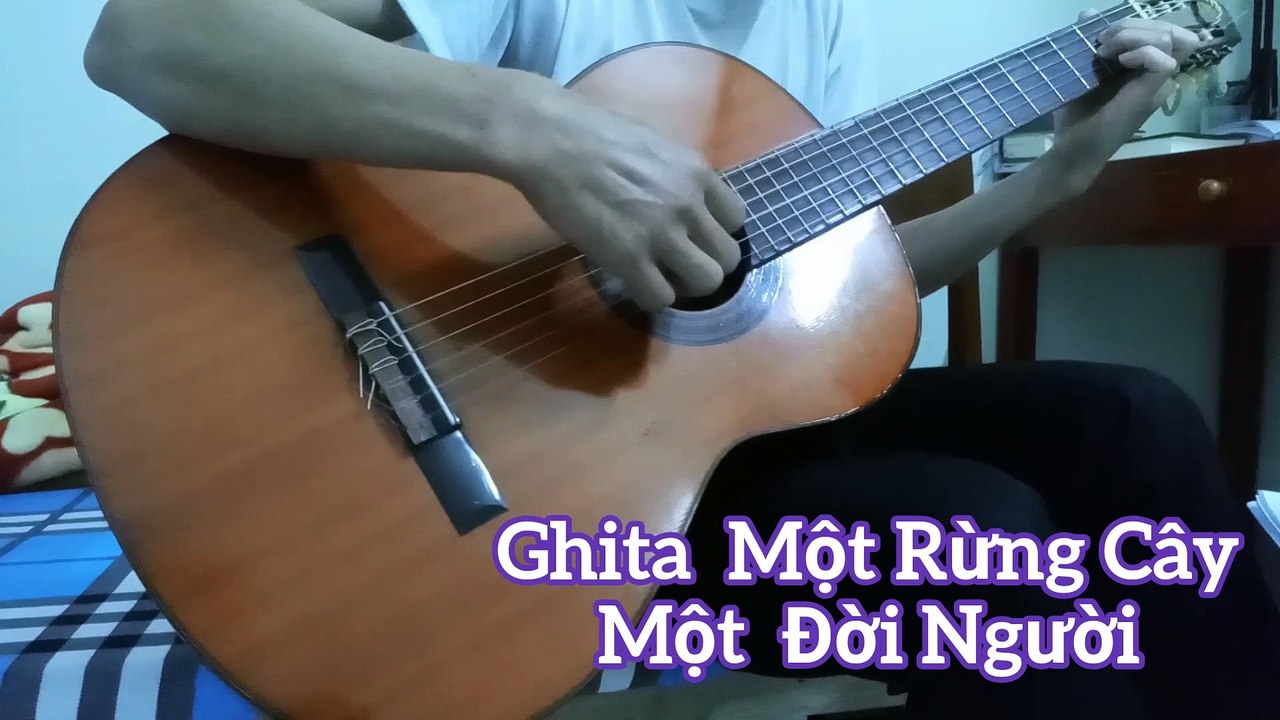 Một đời người một rừng cây