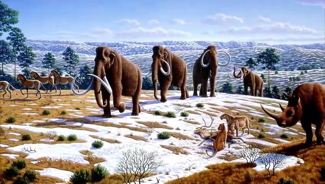 Tigre dientes de sable contra León americano- Batalla de Poder