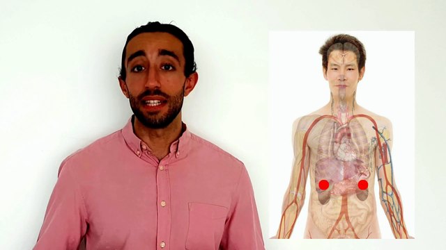 How Does *STRESS* Affect the BRAIN?