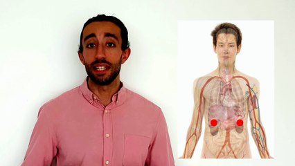 How Does *STRESS* Affect the BRAIN?