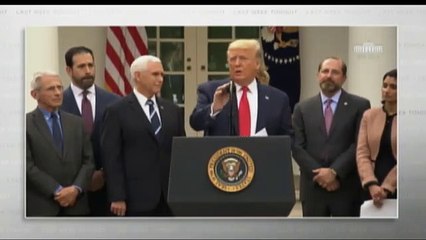 horrifying wake-up call about Trump's coronavirus failures: 'This hamster has better advice'