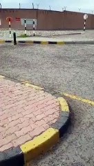 Zaten bir siz eksiktiniz! Şimdi de karınca istilası...