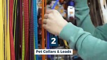 Most Popular Pet Fashion Accessories 2020