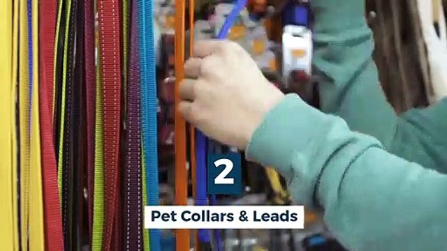 Most Popular Pet Fashion Accessories 2020