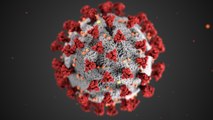 Saudi Arabia restricts movement, other Gulf states limit entry as coronavirus spreads