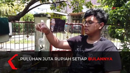 Скачать видео: Menggiurkan, Bisnis Ikan Hias Raih Omzet Hingga Puluhan Juta Rupiah