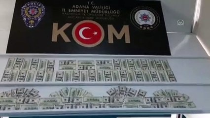 Sahte dolarlarla inek alan dolandırıcılık zanlısını satıcı ve kardeşi yakaladı - ADANA