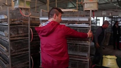 Üniversitenin uygulama çiftliğinde üretilen organik ürünler yok satıyor