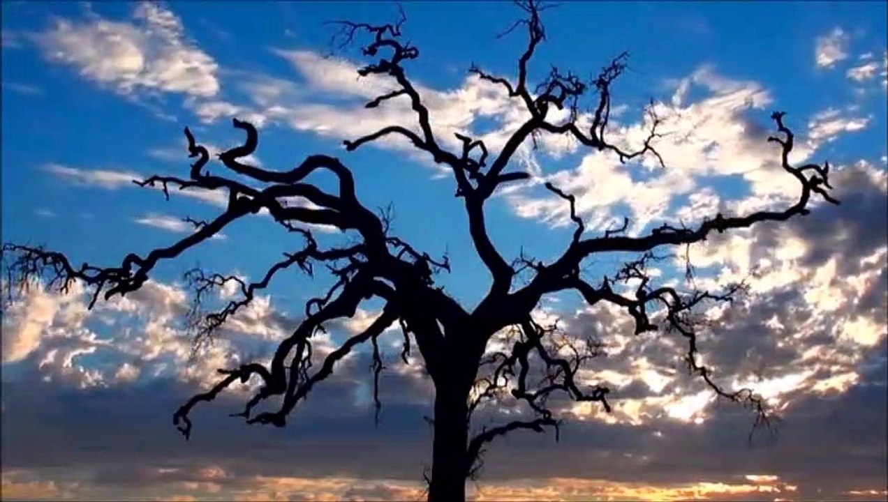 Dennis K. Es war Mord (Sassnitz  6 März 1945)