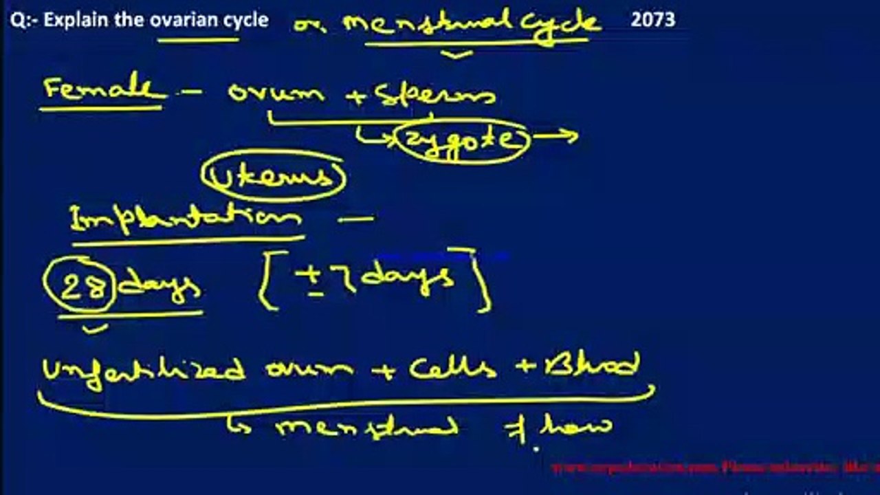 Regular blood flow through vaginal canal, Menstrual Cycle, Ovarian Cycle, Past year question of 2073  of Class twelve of NEB, Nepal