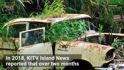 Why There Are Abandoned Cars All Over Hawaii