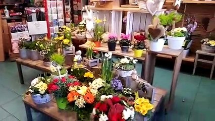 A Montbéliard,  la fleuriste Babette brade à 70 % Ses fleurs